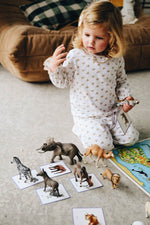 Coffret de cartes Montessori | Animaux | Observe Montessori - My Little Môme